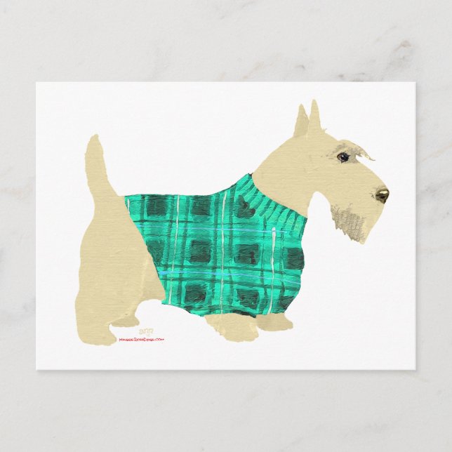 Wheaten Scottish Terrier Sweater Postcard (Front)