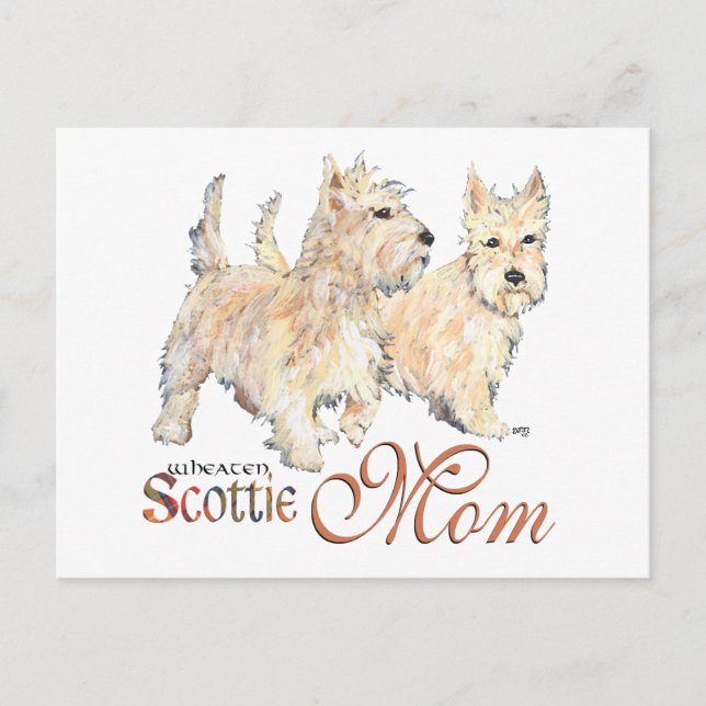 Wheaten Scottish Terriers for Mother's Day Postcard (Front)