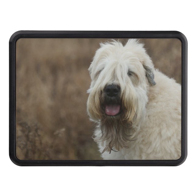 wheaten-terrier 2 trailer hitch cover (Front)
