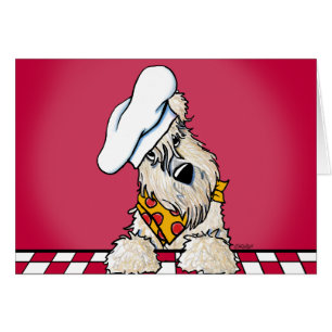 Wheaten Terrier Chef