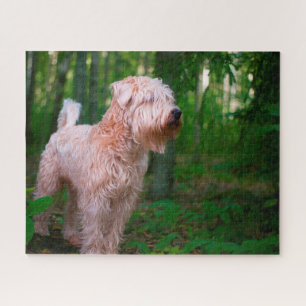 Wheaten Terrier Dog Jigsaws. Jigsaw Puzzle
