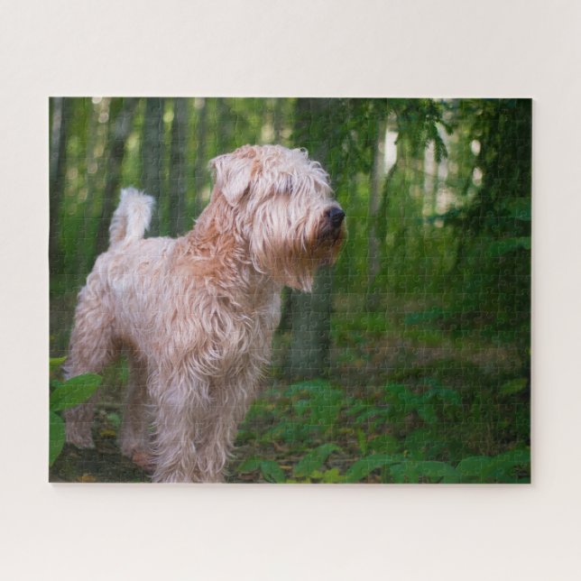 Wheaten Terrier Dog Jigsaws. Jigsaw Puzzle (Horizontal)