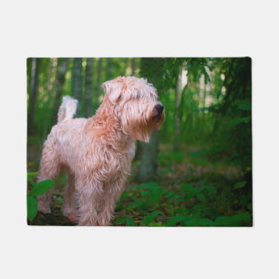 Wheaten Terrier. Doormat