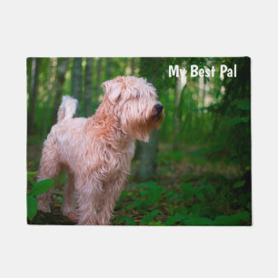 Wheaten Terrier. Doormat