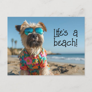 Wheaten Terrier Puppy wearing sunglasses Postcard