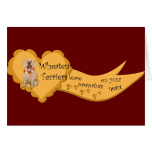 wheaten terriers pawprints