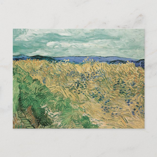 Wheatfield with Cornflowers | Vincent van Gogh Postcard (Front)
