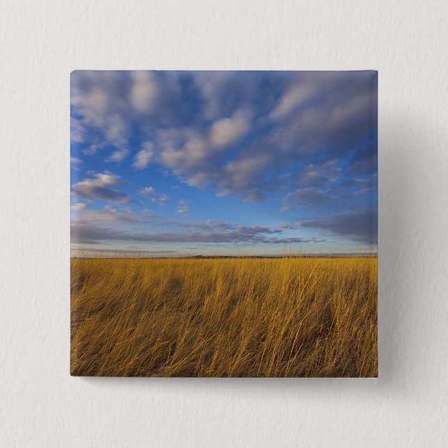 Wheatgrass and dramatic skies at Freezeout Lake 2 Inch Square Button (Front)