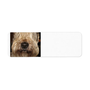wheaton enduit mou terrier.png