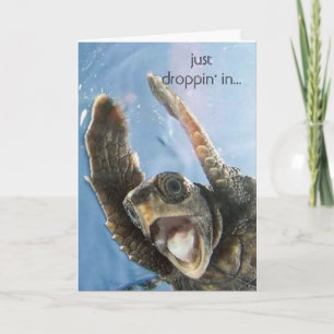 wheeeeeeeee turtle, just droppin' in... card