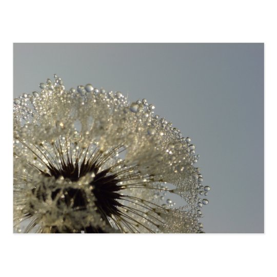 Wheel of droplets postcard