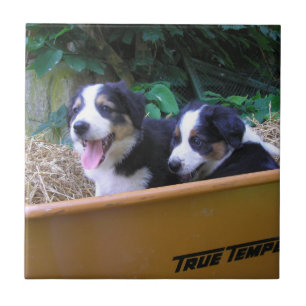 Wheelbarrow Ride Tile