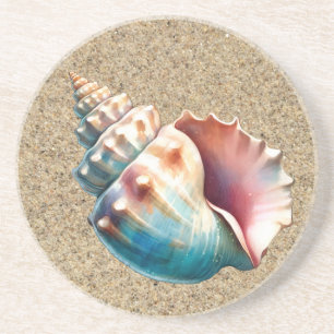 Whelk Shell Coaster