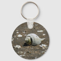Whelk shell on the beach - key chain