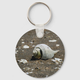 Whelk shell on the beach - key chain