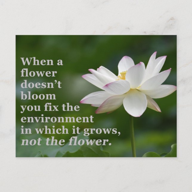 When a Flower Doesn't Bloom Postcard (Front)
