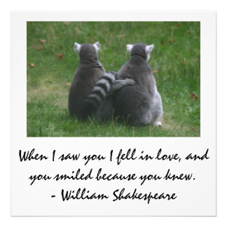 When I saw you I fell in love - Lemur love Photo Print