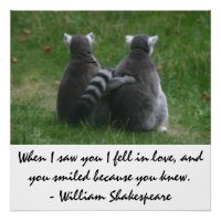 When I saw you I fell in love - Lemur love