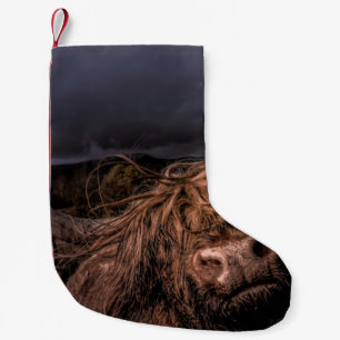 WHEN I VISIT THE NORTH OF SCOTLAND I CAME ACROSS T SMALL CHRISTMAS STOCKING
