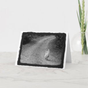 When It's Time Sympathy Card