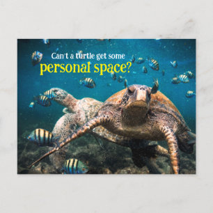 When life gets tough, just keep swimming  postcard