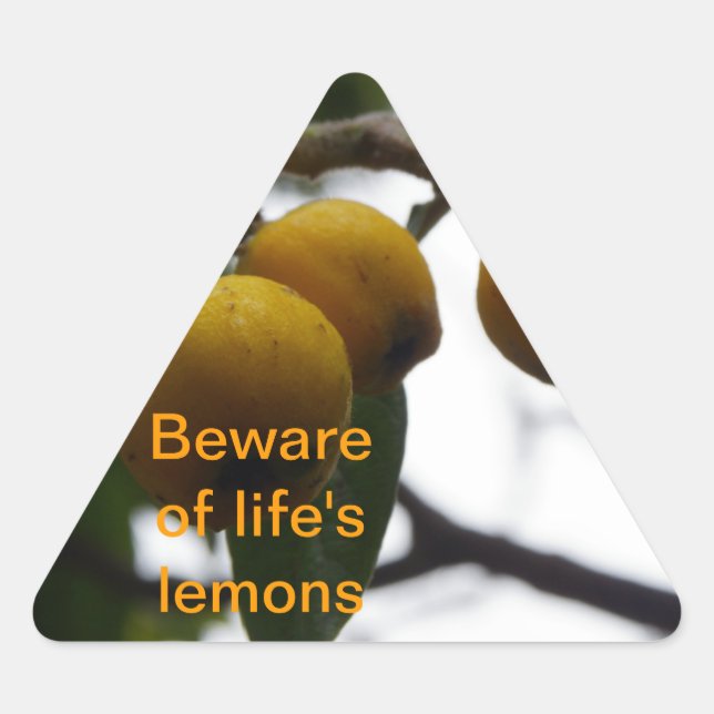 When Life Gives You Lemons... Triangle Sticker (Front)