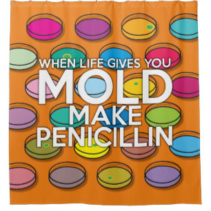 WHEN LIFE GIVES YOU MOLD MAKE PENICILLIN