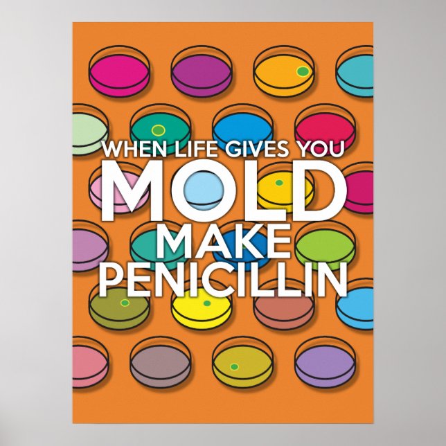 WHEN LIFE GIVES YOU MOLD MAKE PENICILLIN POSTER (Front)