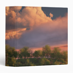 When March Blows Its Horn Binder