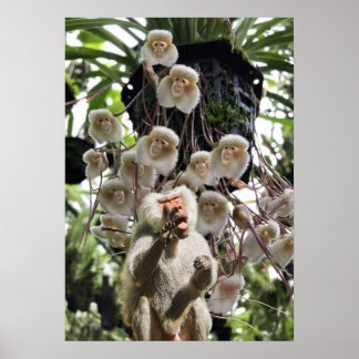 When nature copies nature. poster