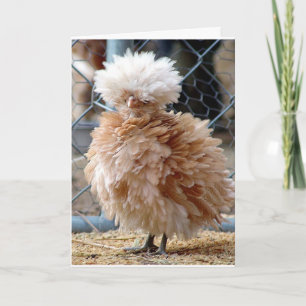 WHEN SICK EAT A HAMBURGER ***NOT CHICKEN SOUP*** CARD