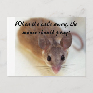 When the cat's away... postcard