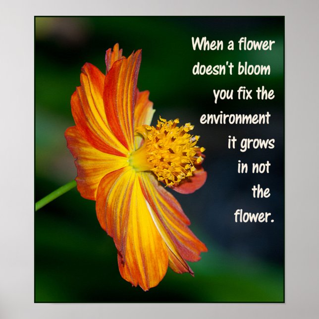 When the flower doesn’t bloom... poster (Front)
