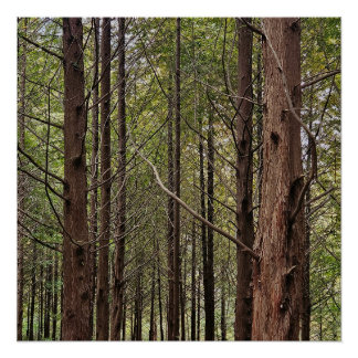 When the going gets tough, the tough get going poster