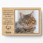 When Tomorrow Starts Without Me Cat Memorial Photo