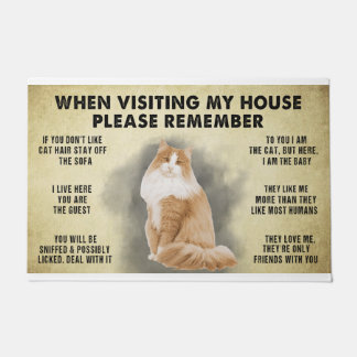 When Visiting My House Please Remember The Cat Lov Doormat