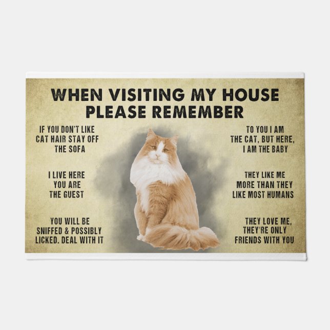 When Visiting My House Please Remember The Cat Lov Doormat (Front)