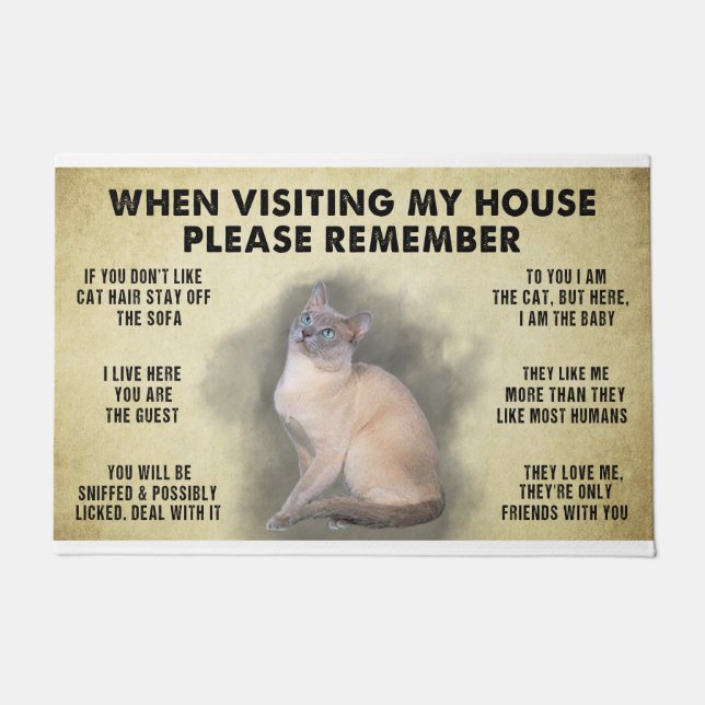 When Visiting My House Please Remember The Cat Lov Doormat (Front)