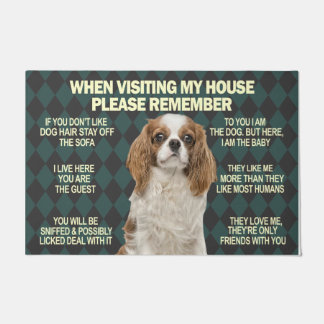 When Visiting My House Please Remmember Pet Doormat