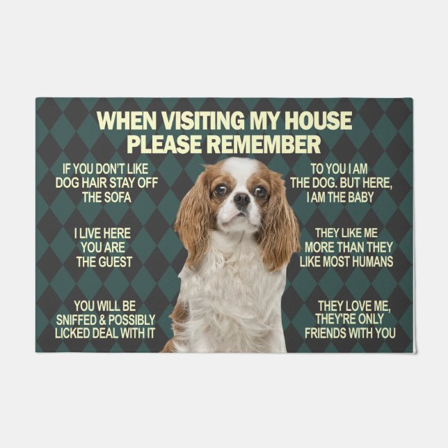 When Visiting My House Please Remmember Pet Doormat (Front)