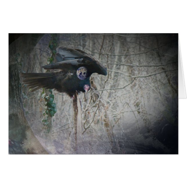 When Vulture Closes His Wings (Front Horizontal)