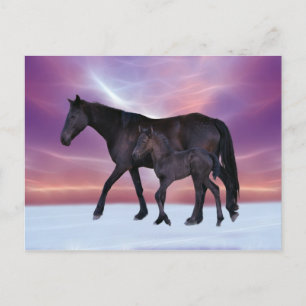 When winter comes postcard