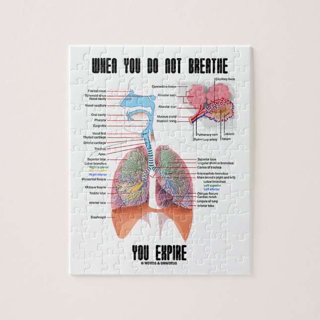 When You Do Not Breathe Expire Respiratory System Jigsaw Puzzle (Vertical)