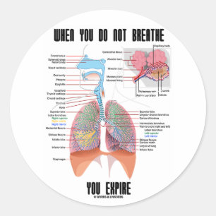 When You Do Not Breathe You Expire (Respiratory) Classic Round Sticker