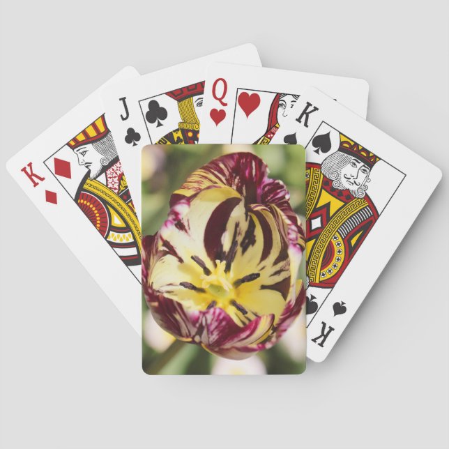 When You Wore A Tulip  Playing Cards (Back)