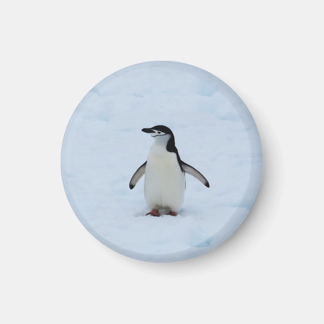 Where Am I Magnet (Front)