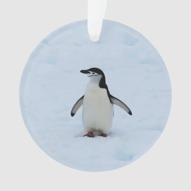 Where Am I Ornament (Front)