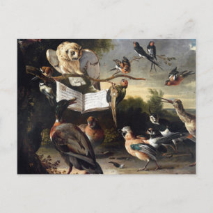 Where Bird Songs Come From Postcard