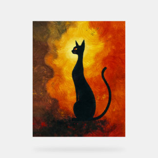 Where curiosity meets the cosmos.