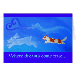 Where Dog-Dreams Come True